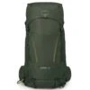 Osprey Kestrel 38 Rucksack S-M 79 Cm 1 Osprey Kestrel 38 Rucksack S-M 79 Cm -Roncato Verkäufe 373752e0df9c4fdc6446bc3b13830373